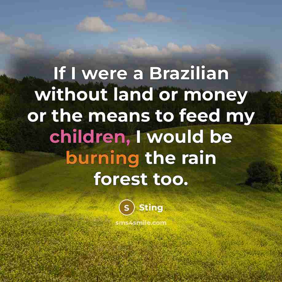 “If I were a Brazilian without land or money or the means to feed my children, I would be burning the rain forest too.” quote by Sting