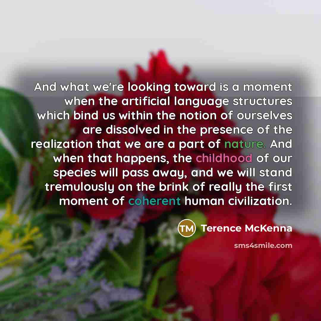 “And what we're looking toward is a moment when the…” quote by Terence McKenna
