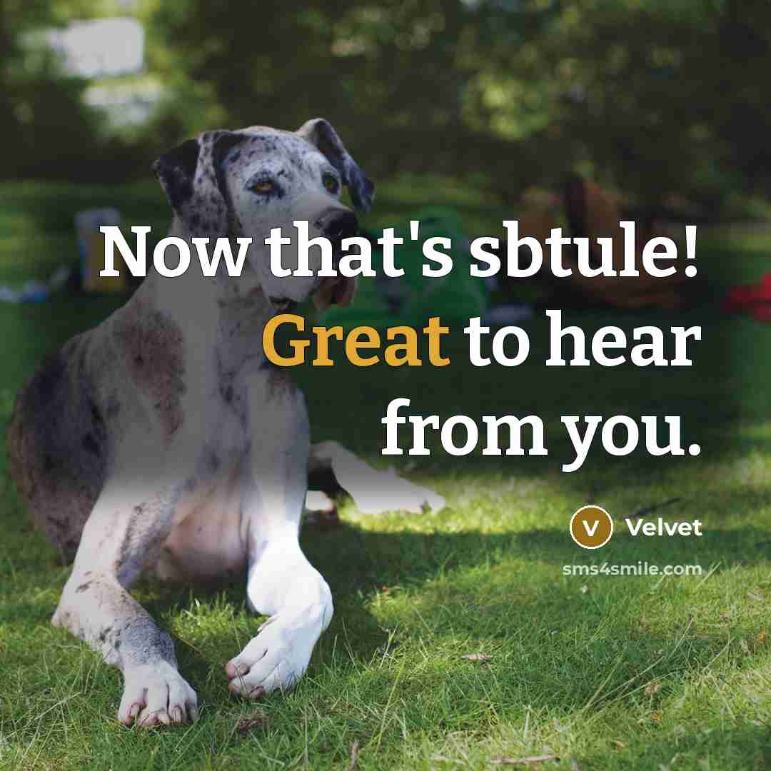 “Now that's sbtule! Great to hear from you.…” quote by Velvet