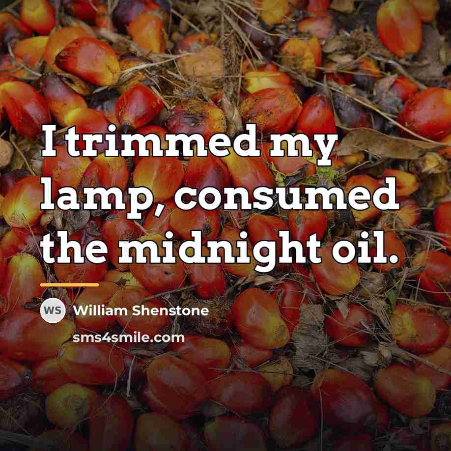 “I trimmed my lamp, consumed the midnight oil.…” quote by William Shenstone