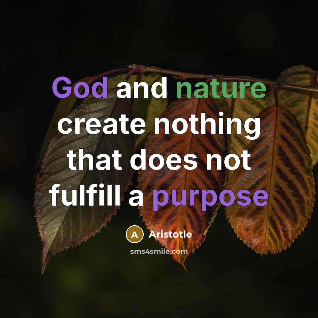 “God and nature create nothing that does not fulfill a purpose” quote by Aristotle