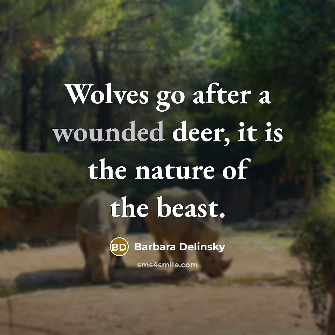 “Wolves go after a wounded deer, it is the nature…” quote by Barbara Delinsky