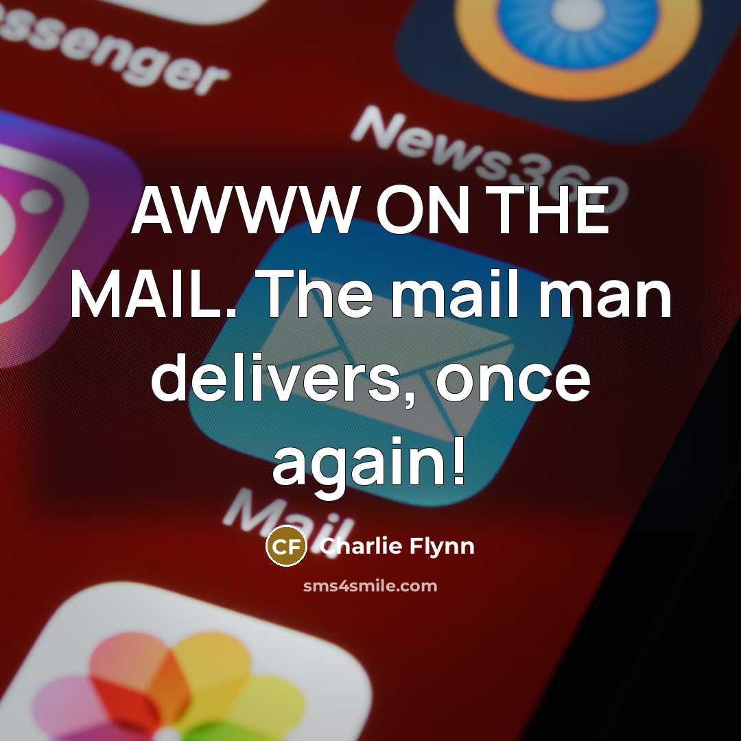 “AWWW ON THE MAIL. The mail man delivers, once again!…” quote by Charlie Flynn