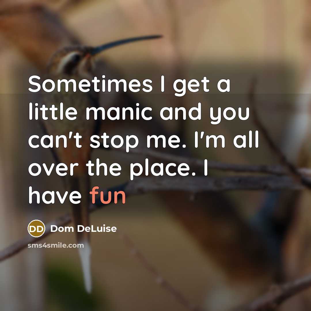 “Sometimes I get a little manic and you can't stop…” quote by Dom DeLuise