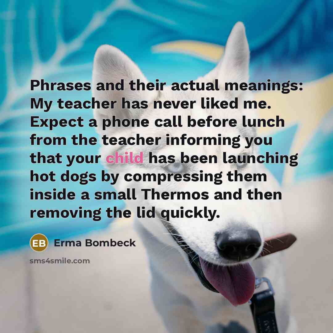 “Phrases and their actual meanings: My teacher has never liked…” quote by Erma Bombeck