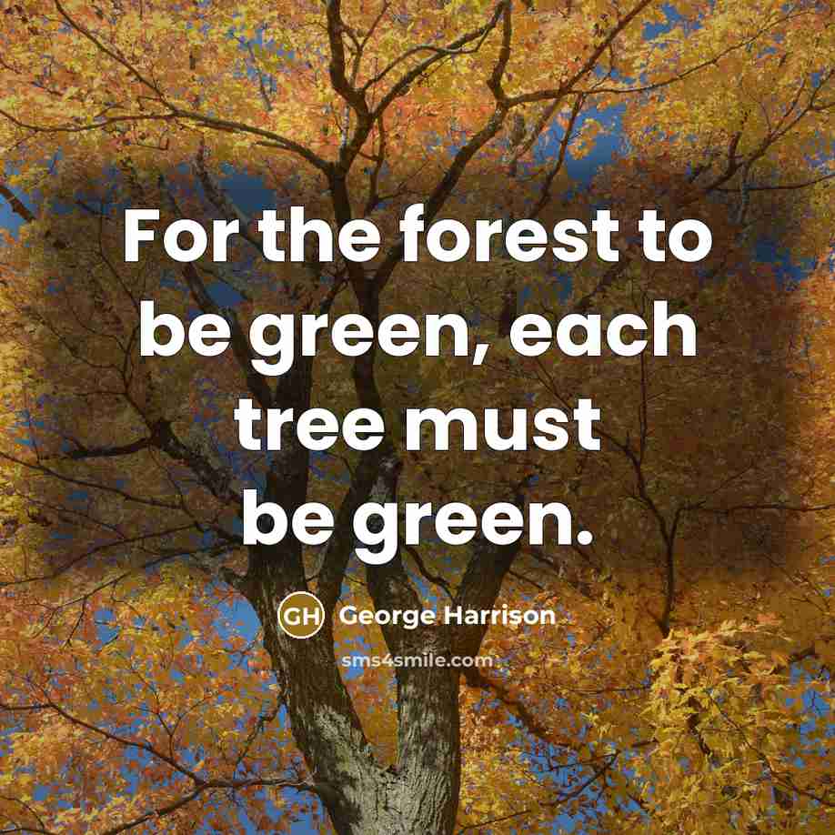 “For the forest to be green, each tree must be…” quote by George Harrison