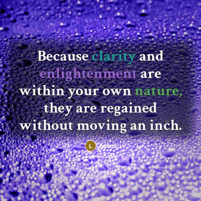 “Because clarity and enlightenment are within your own nature, they…” quote by Laozi