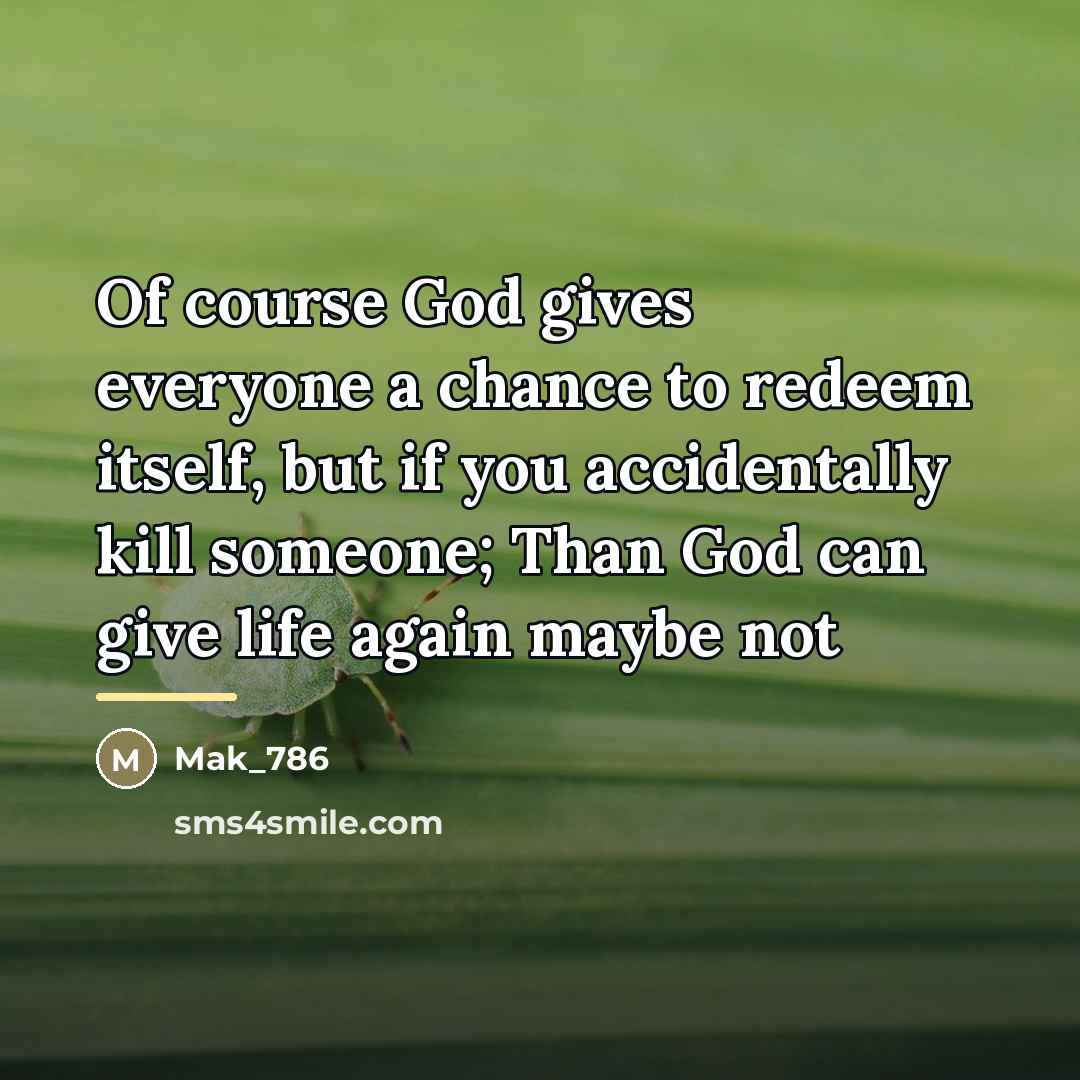 “Of course God gives everyone a chance to redeem itself,…” quote by Mak_786