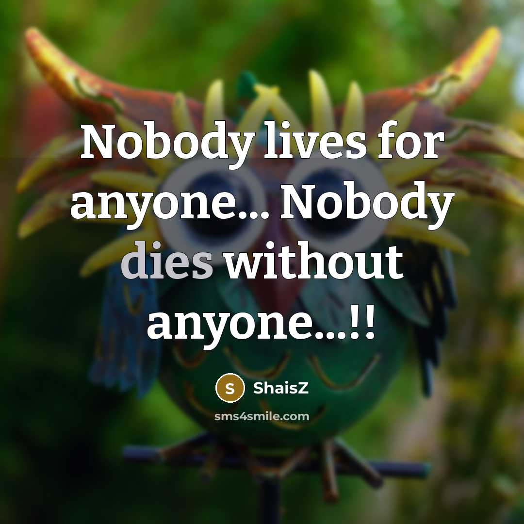 “Nobody lives for anyone... Nobody dies without anyone...!!” quote by ShaisZ