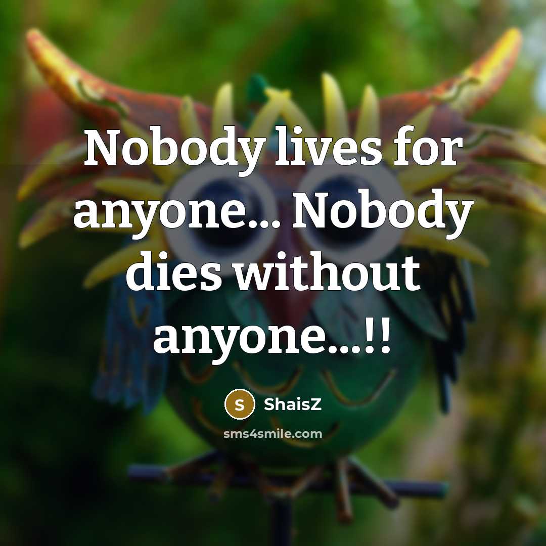 “Nobody lives for anyone... Nobody dies without anyone...!!…” quote by ShaisZ