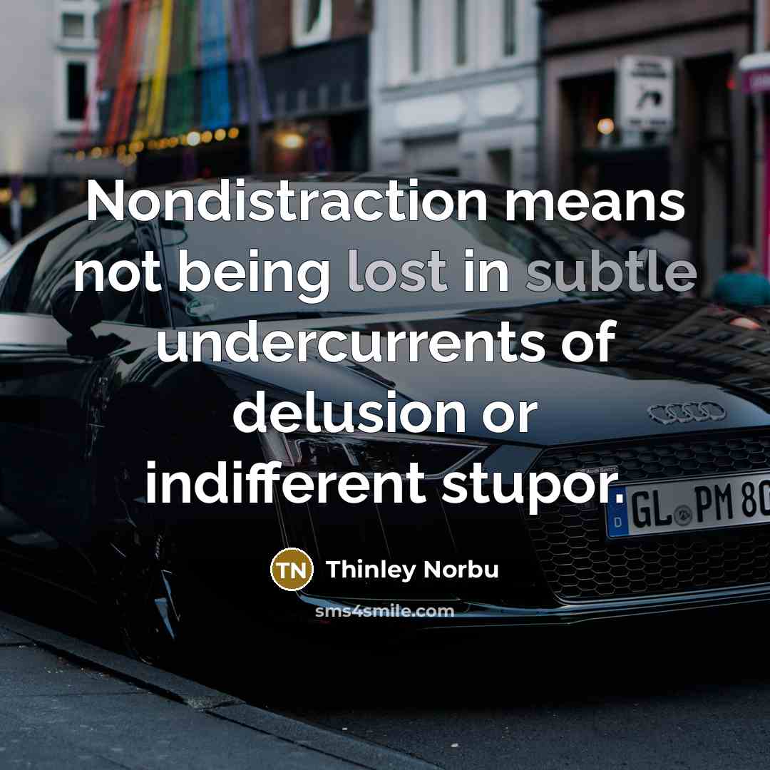 “Nondistraction means not being lost in subtle undercurrents of delusion…” quote by Thinley Norbu