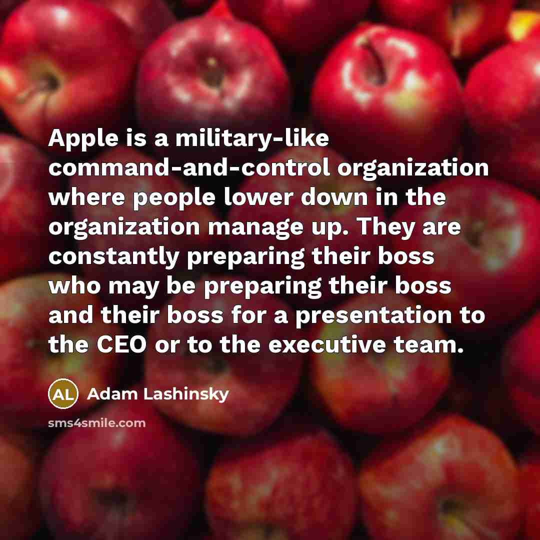 “Apple is a military-like command-and-control organization where people lower down…” quote by Adam Lashinsky