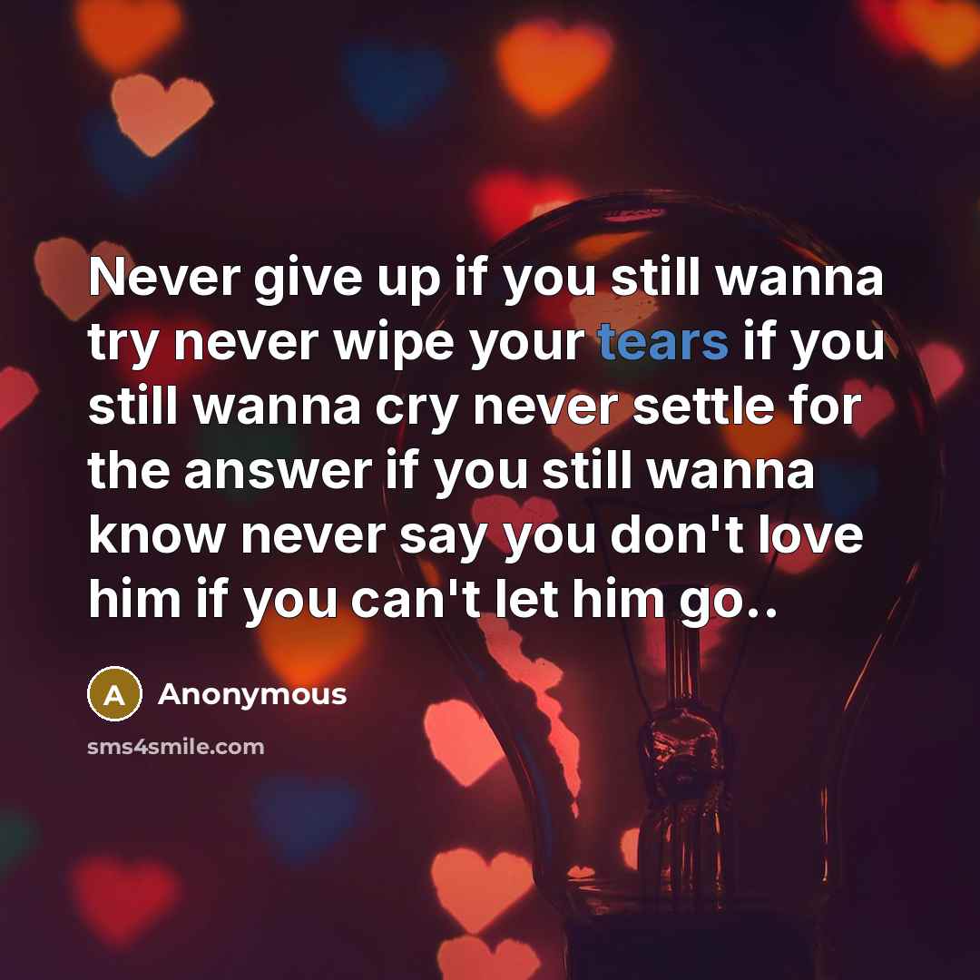 “Never give up if you still wanna try never wipe…” quote by Anonymous