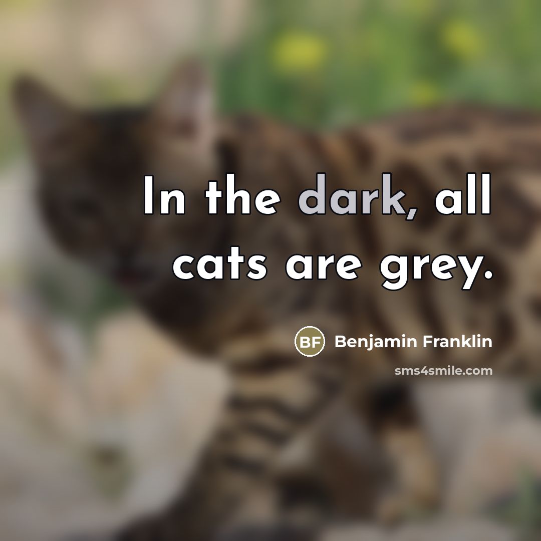 “In the dark, all cats are grey.…” quote by Benjamin Franklin