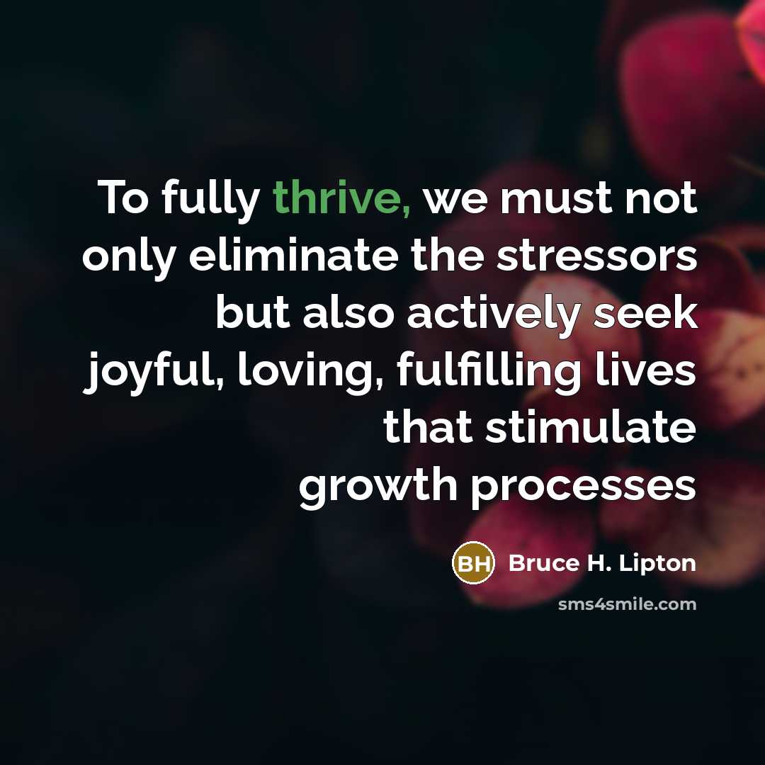 “To fully thrive, we must not only eliminate the stressors…” quote by Bruce H. Lipton