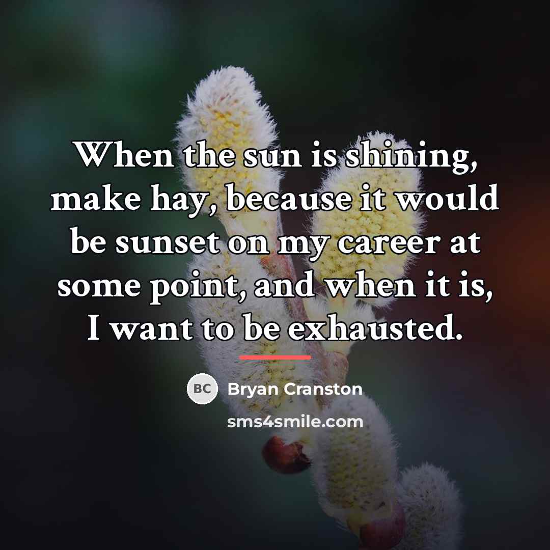 “When the sun is shining, make hay, because it would…” quote by Bryan Cranston