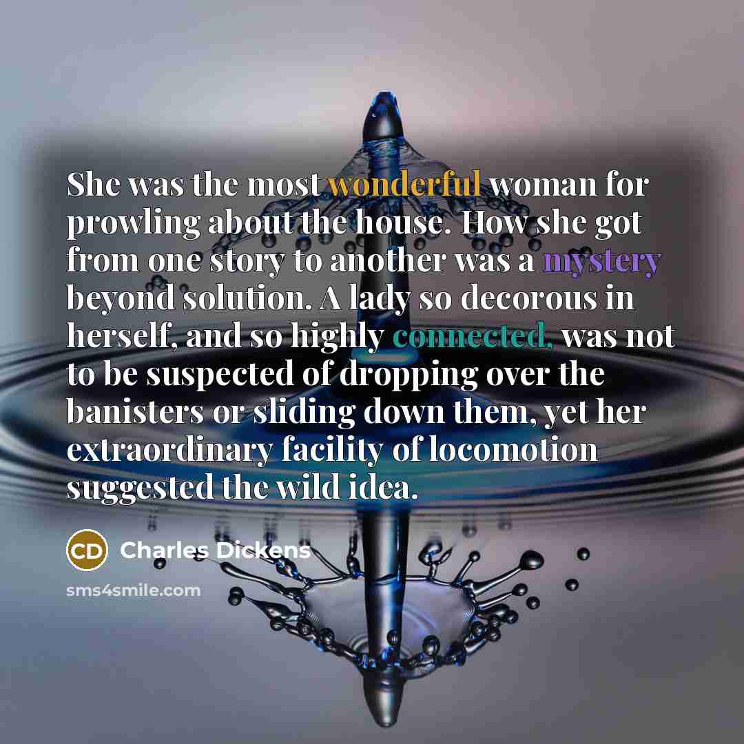 “She was the most wonderful woman for prowling about the…” quote by Charles Dickens