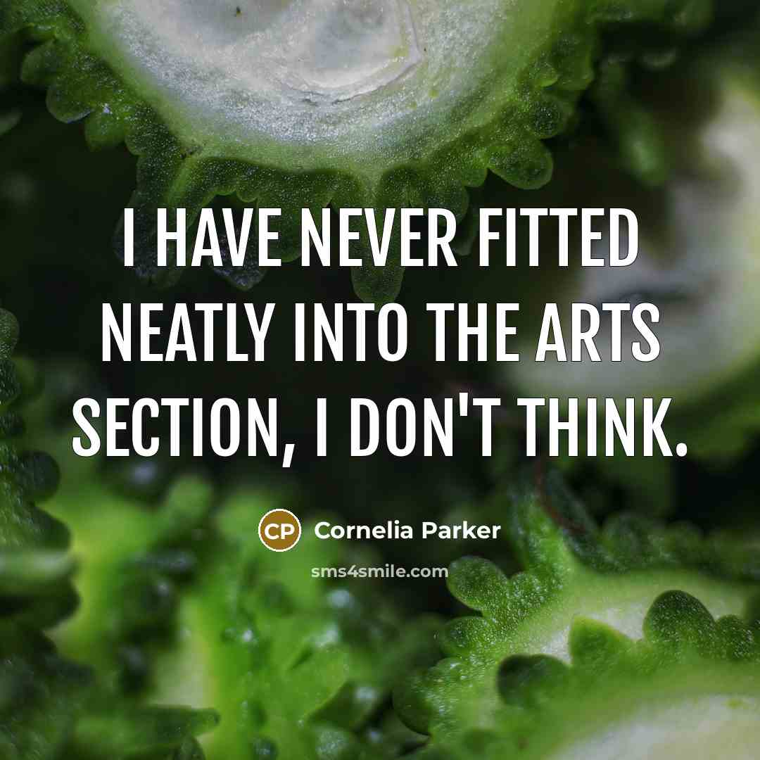 “I have never fitted neatly into the arts section, I…” quote by Cornelia Parker