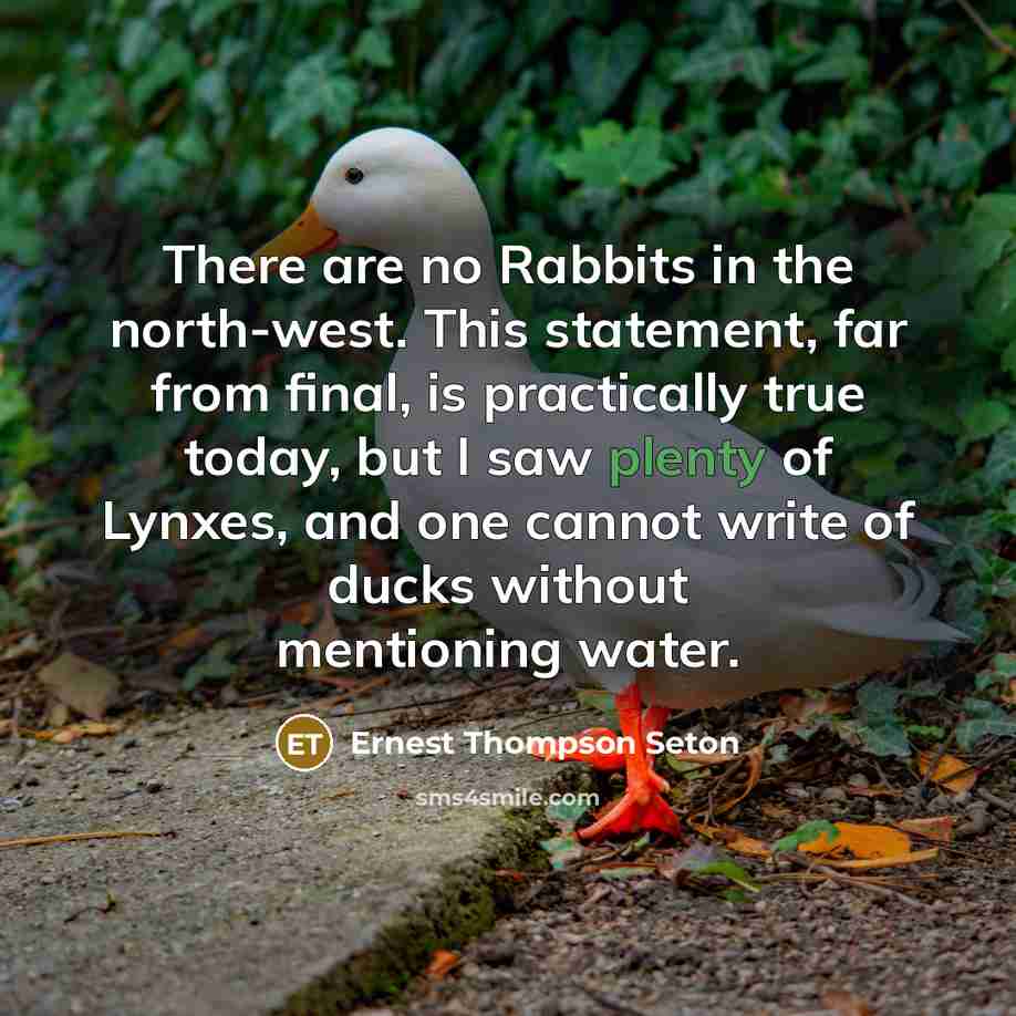 “There are no Rabbits in the north-west. This statement, far…” quote by Ernest Thompson Seton