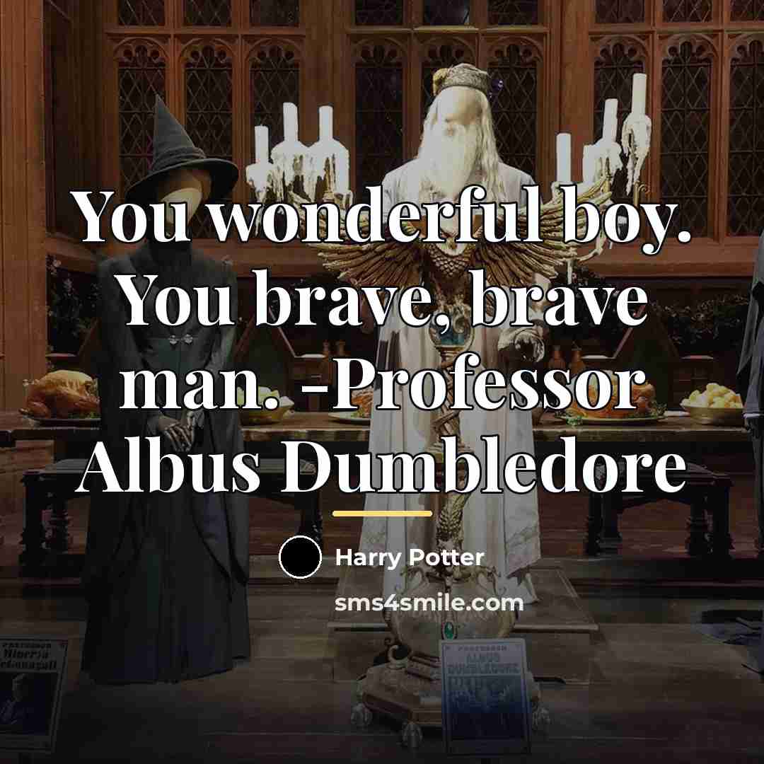 “You wonderful boy. You brave, brave man. -Professor Albus Dumbledore…” quote by Harry Potter