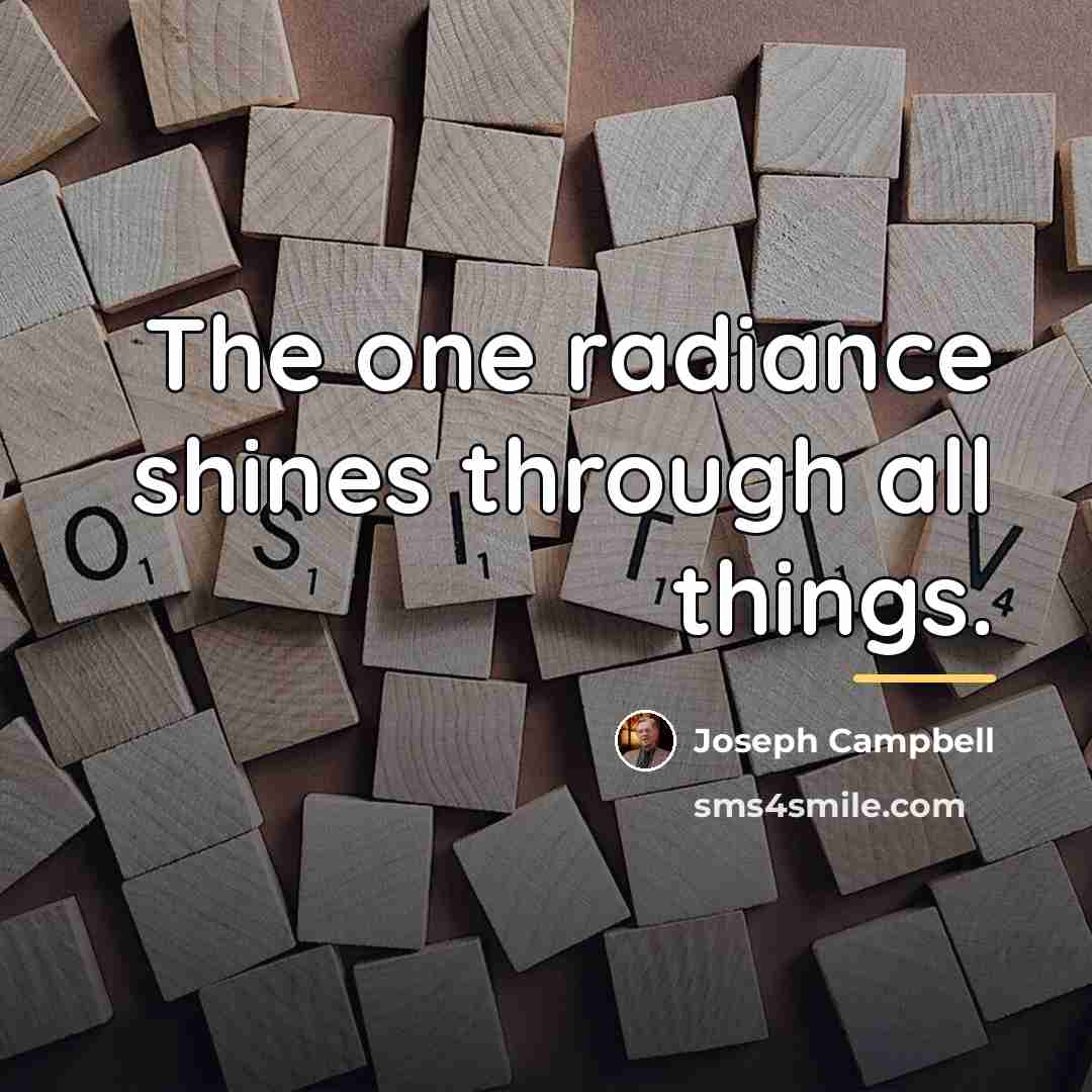 “The one radiance shines through all things.…” quote by Joseph Campbell