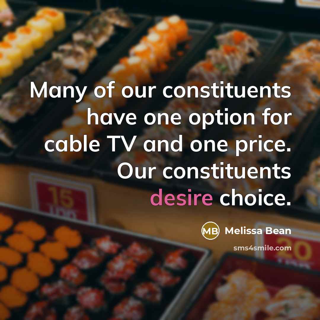 “Many of our constituents have one option for cable TV…” quote by Melissa Bean