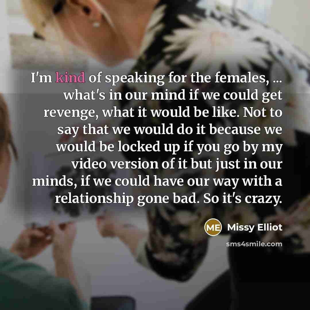 “I'm kind of speaking for the females, ... what's in…” quote by Missy Elliot