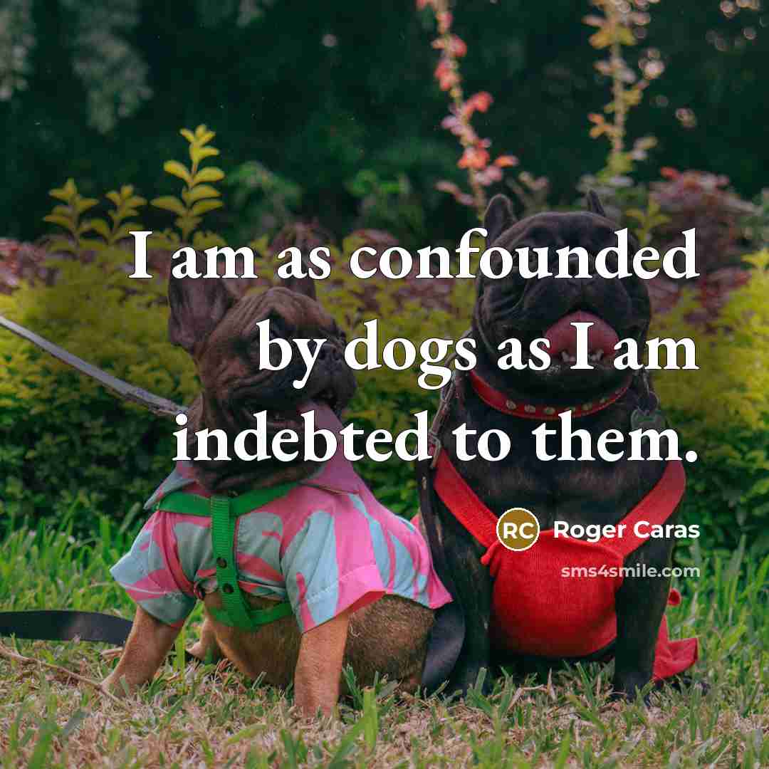 “I am as confounded by dogs as I am indebted…” quote by Roger Caras
