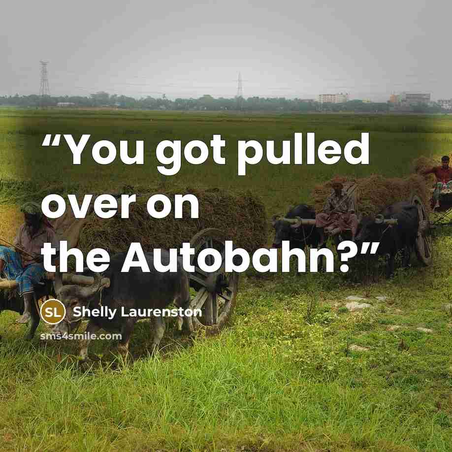 “You got pulled over on the Autobahn?” quote by Shelly Laurenston