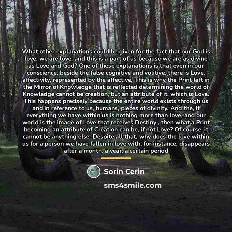 “What other explanations could be given for the fact that…” quote by Sorin Cerin