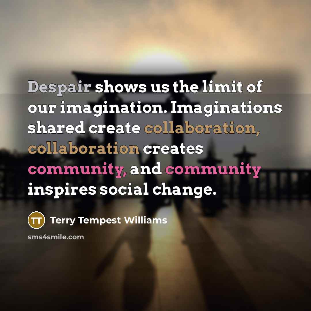 “Despair shows us the limit of our imagination. Imaginations shared…” quote by Terry Tempest Williams