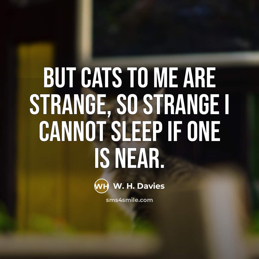 “But cats to me are strange, so strange I cannot…” quote by W. H. Davies
