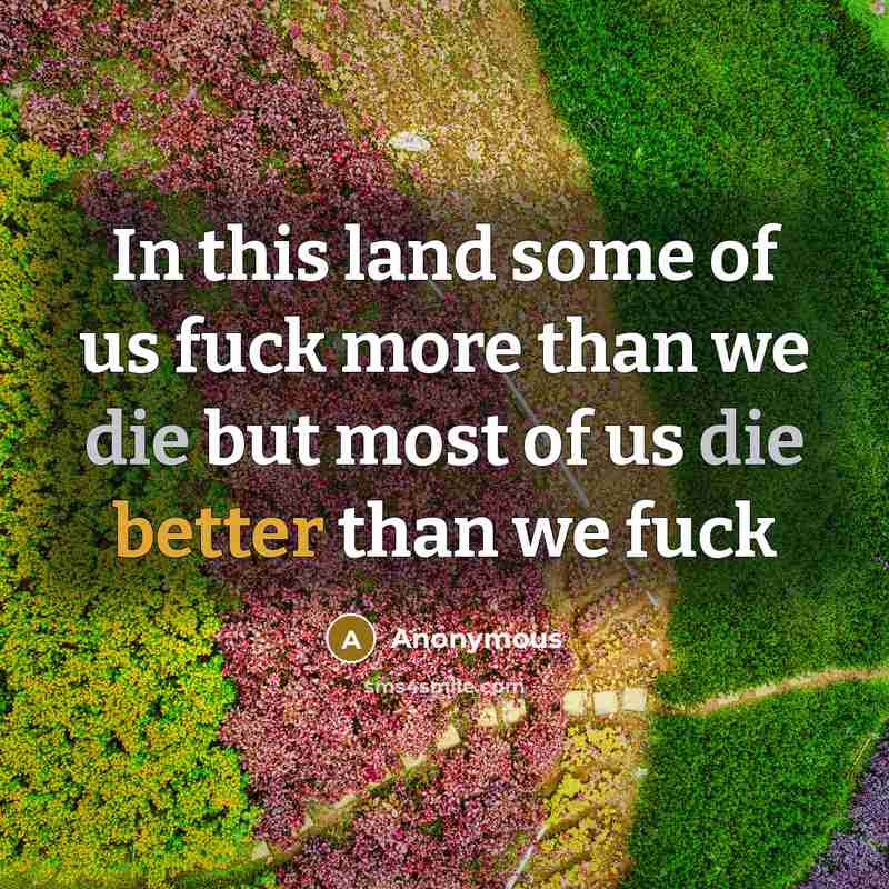 “In this land some of us fuck more than we die but most of us die better than we fuck” quote by Anonymous