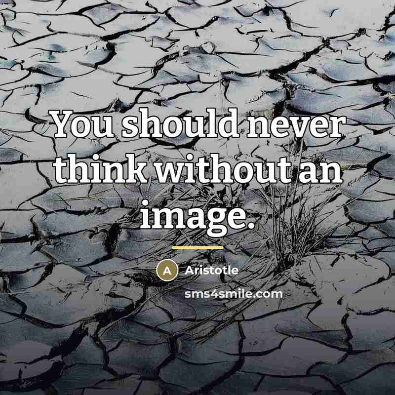 “You should never think without an image.…” quote by Aristotle