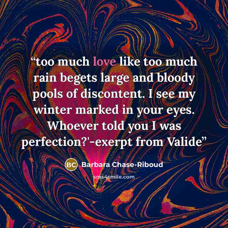 “too much love like too much rain begets large and bloody pools of discontent. I see my winter marked in your eyes. Whoever told you I was perfection?'-exerpt from Valide” quote by Barbara Chase-Riboud