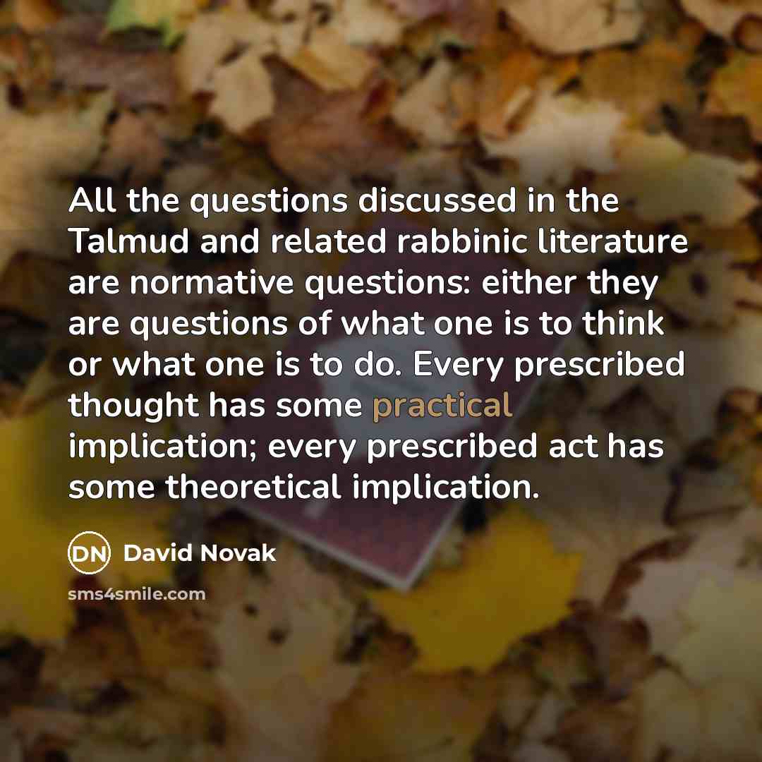 “All the questions discussed in the Talmud and related rabbinic…” quote by David Novak