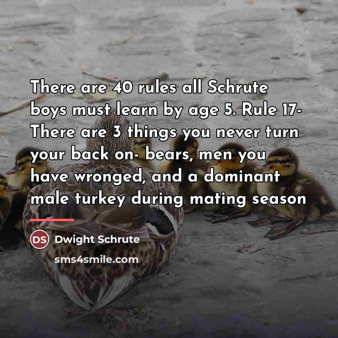 “There are 40 rules all Schrute boys must learn by…” quote by Dwight Schrute