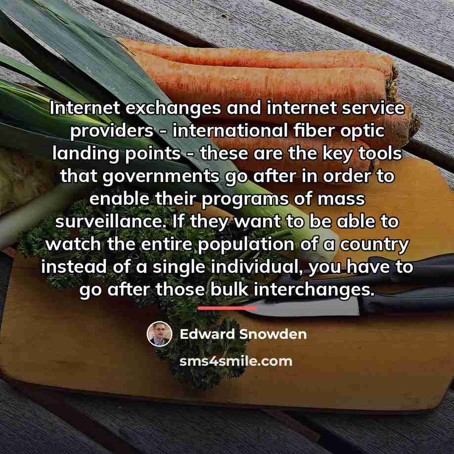 “Internet exchanges and internet service providers - international fiber optic…” quote by Edward Snowden