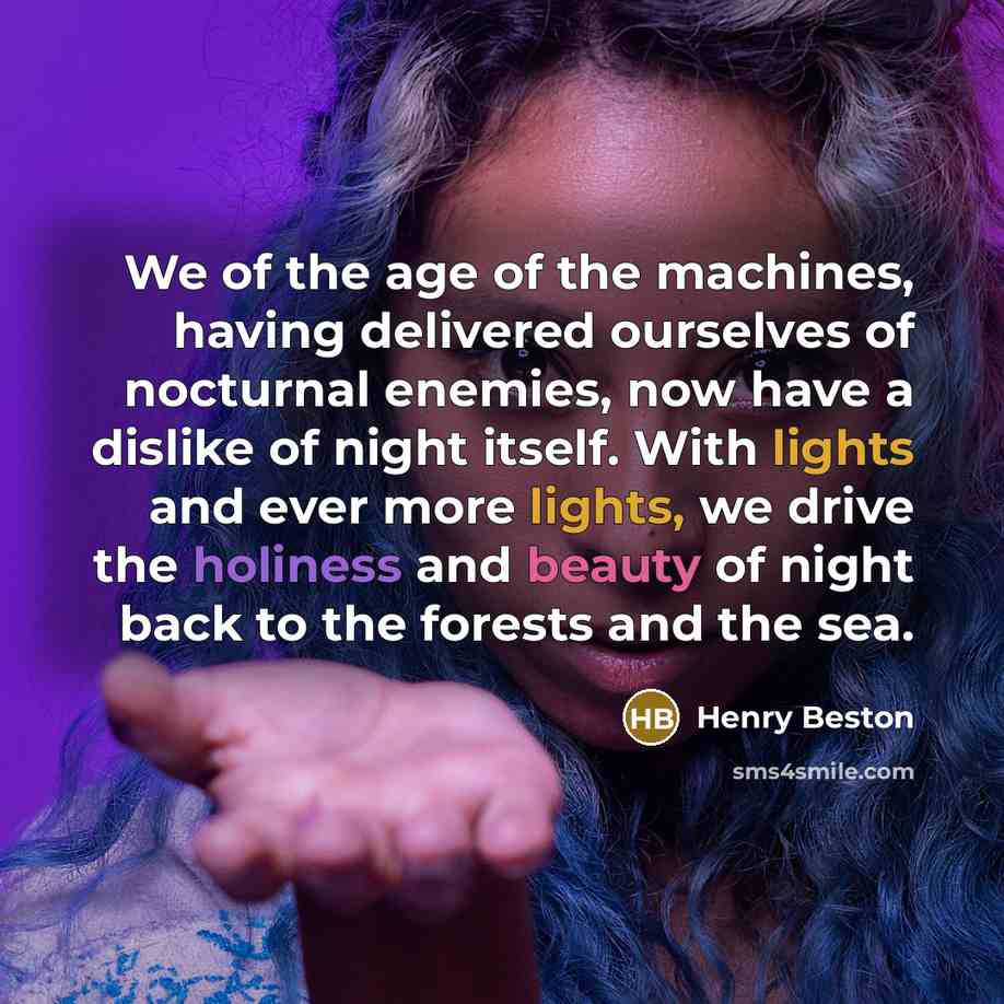 “We of the age of the machines, having delivered ourselves…” quote by Henry Beston