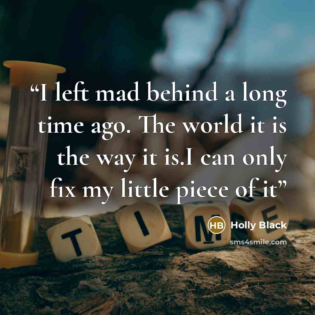“I left mad behind a long time ago. The world it is the way it is.I can only fix my little piece of it” quote by Holly Black