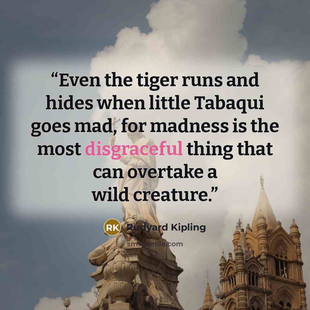“Even the tiger runs and hides when little Tabaqui goes mad, for madness is the most disgraceful thing that can overtake a wild creature.” quote by Rudyard Kipling