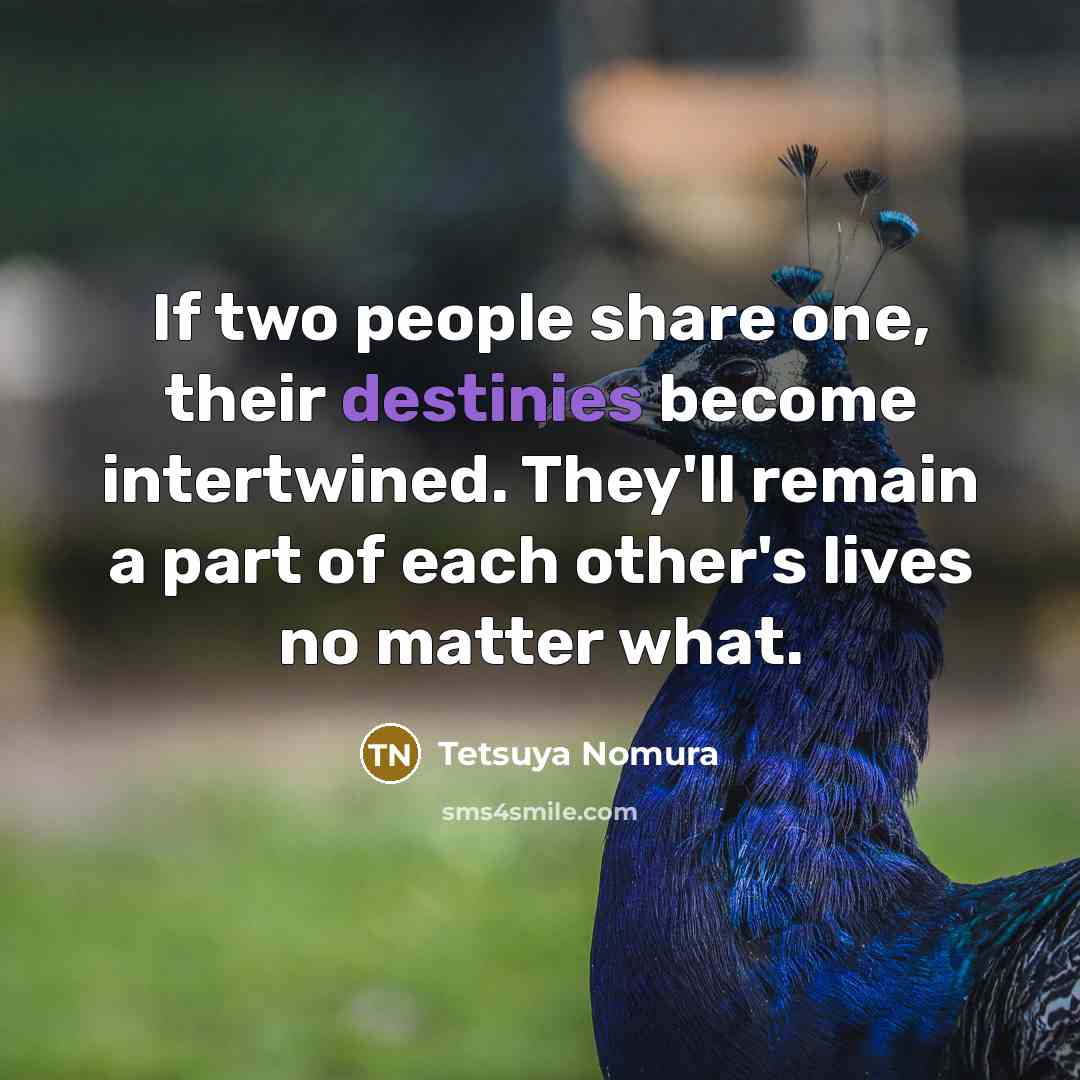 “If two people share one, their destinies become intertwined. They'll…” quote by Tetsuya Nomura