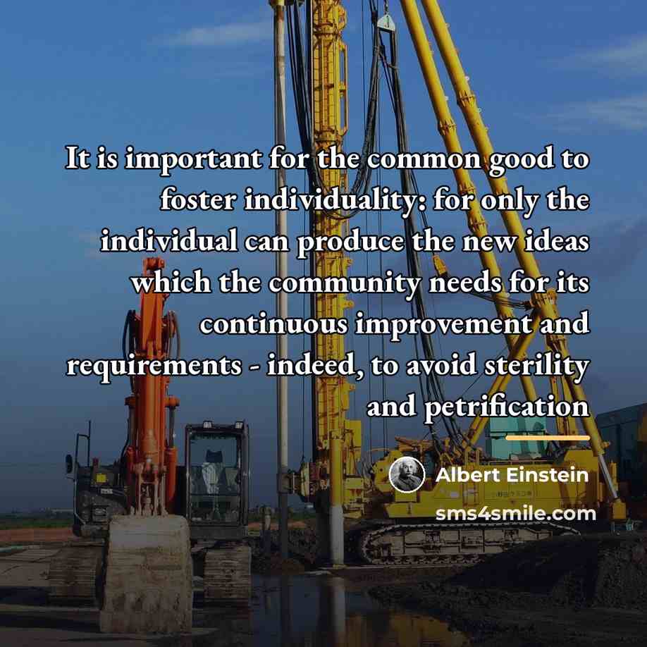 “It is important for the common good to foster individuality:…” quote by Albert Einstein