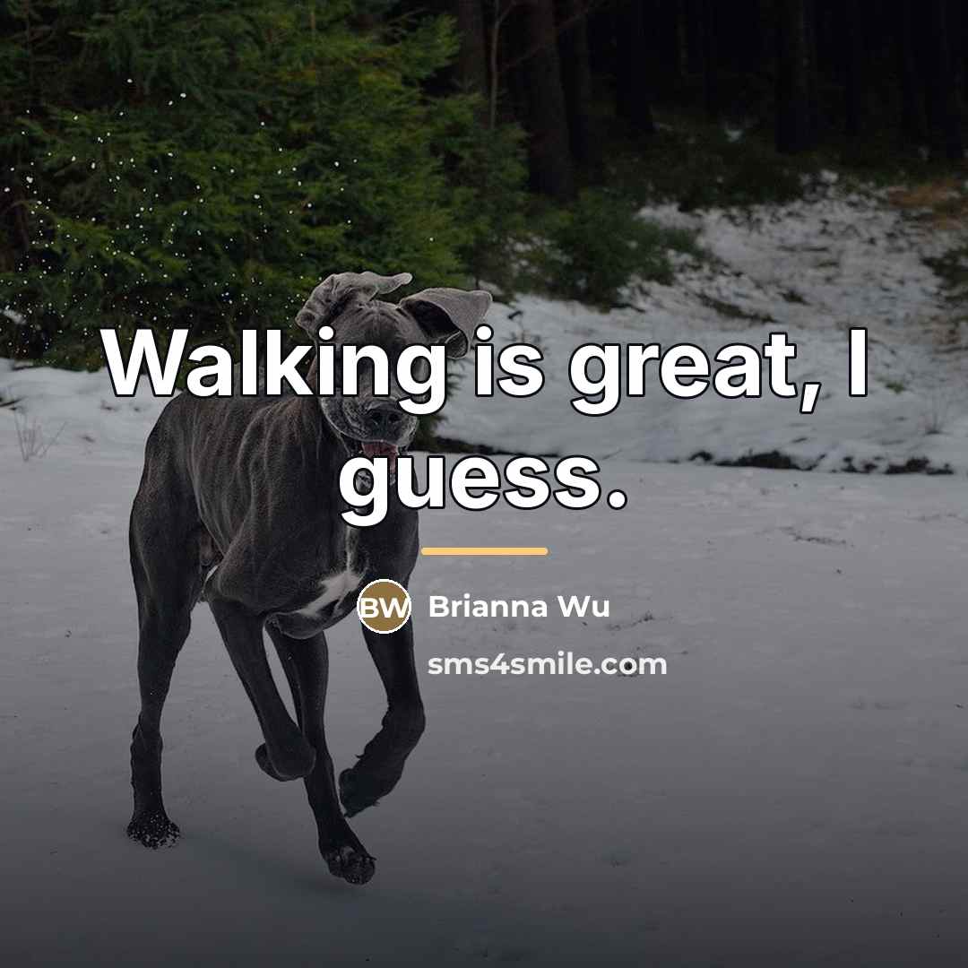 “Walking is great, I guess.…” quote by Brianna Wu