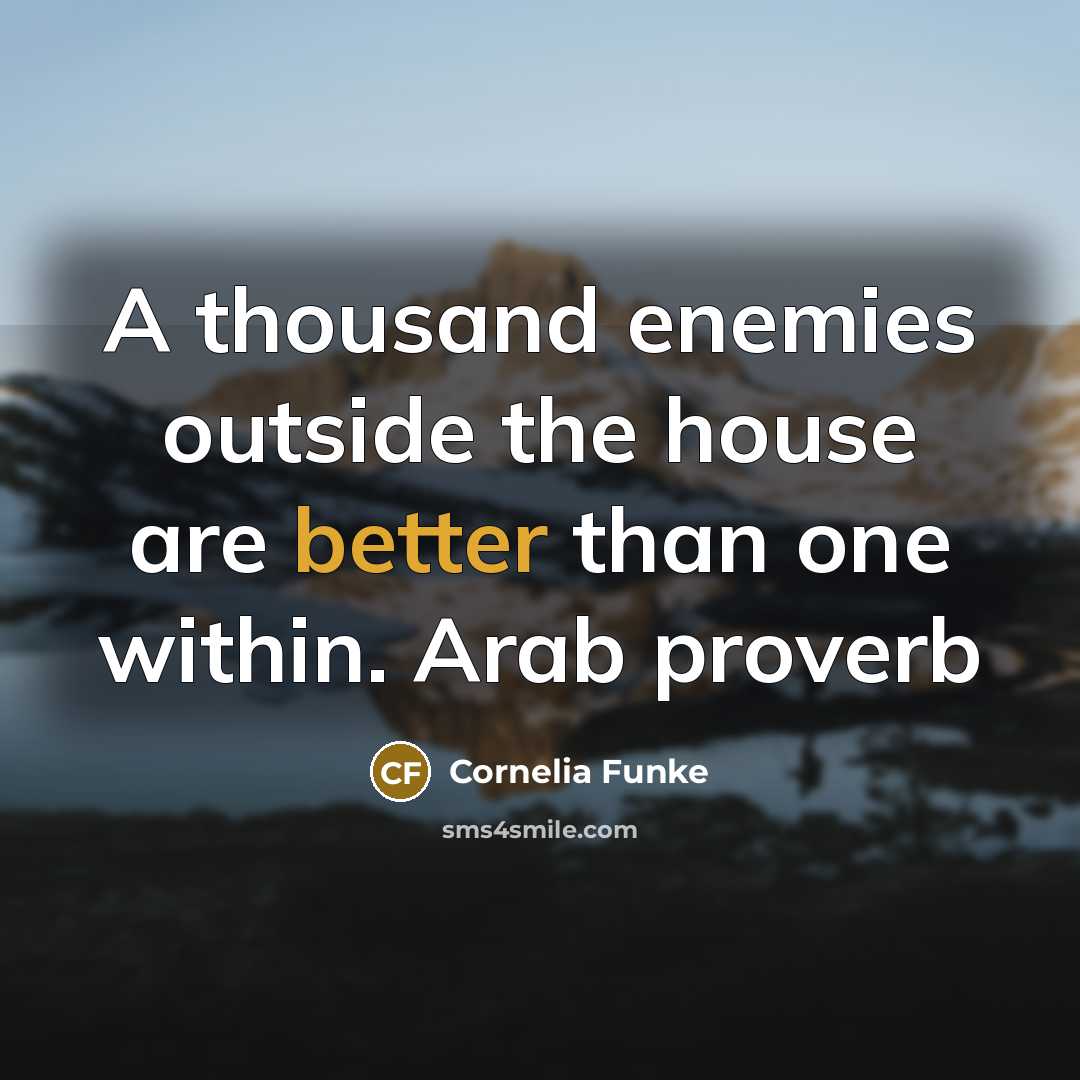 “A thousand enemies outside the house are better than one within. Arab proverb” quote by Cornelia Funke