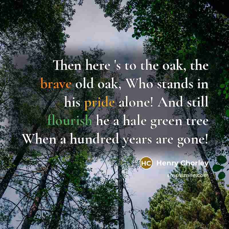 “Then here 's to the oak, the brave old oak, Who stands in his pride alone! And still flourish he a hale green tree When a hundred years are gone!” quote by Henry Chorley