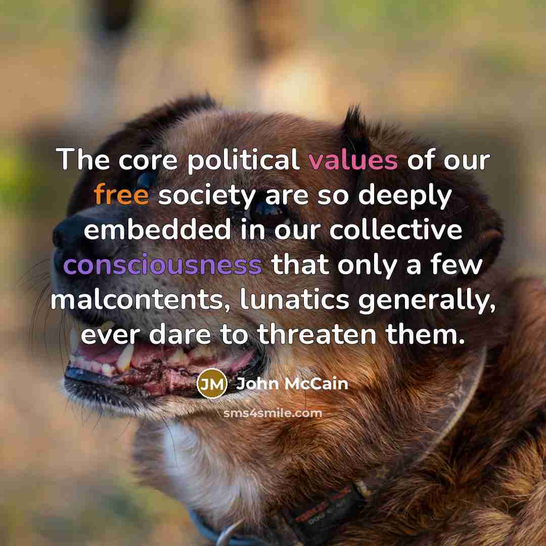 “The core political values of our free society are so…” quote by John McCain