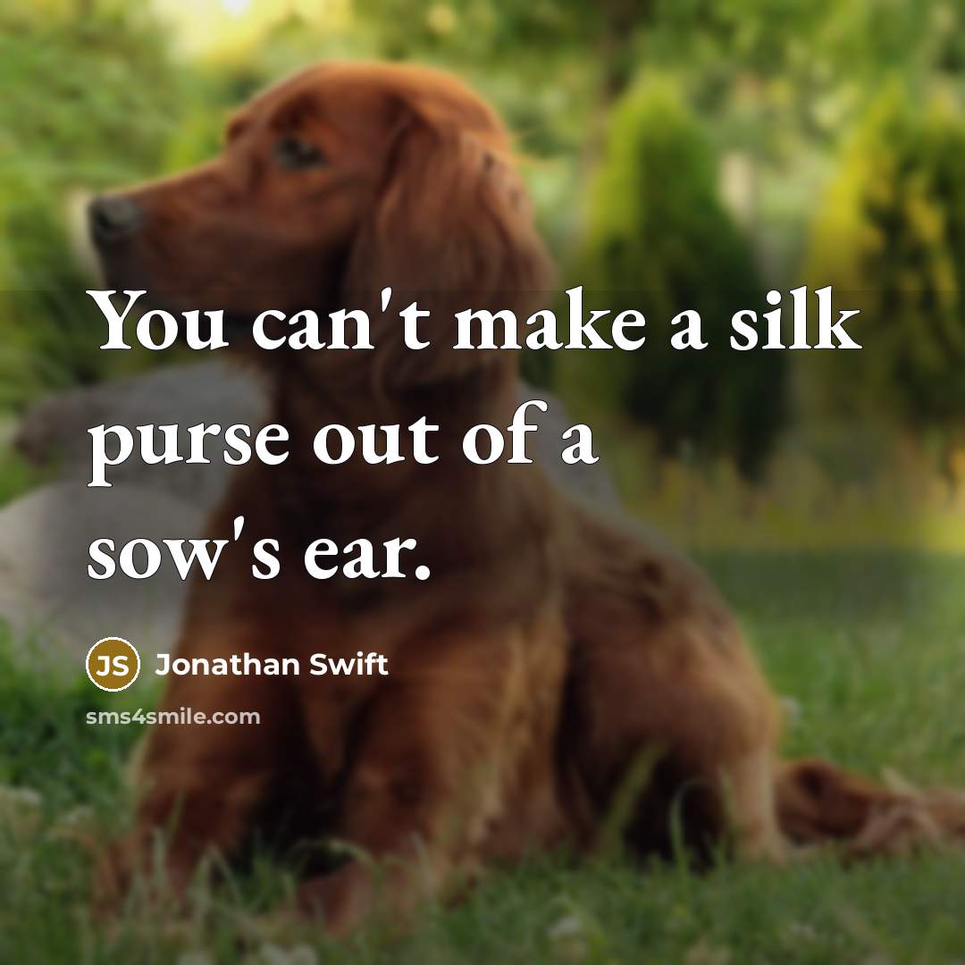“You can't make a silk purse out of a sow's…” quote by Jonathan Swift