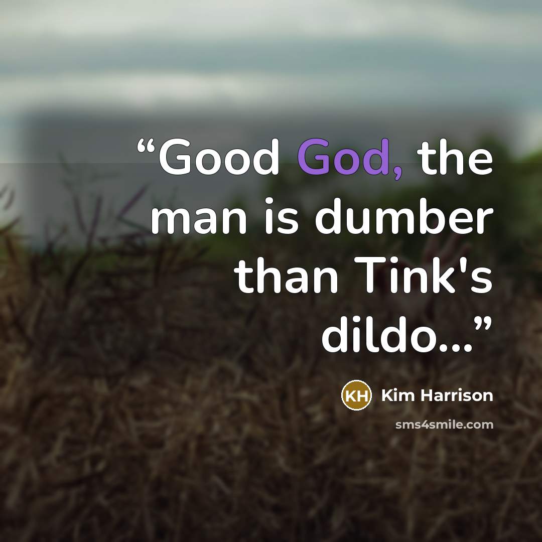 “Good God, the man is dumber than Tink's dildo...” quote by Kim Harrison