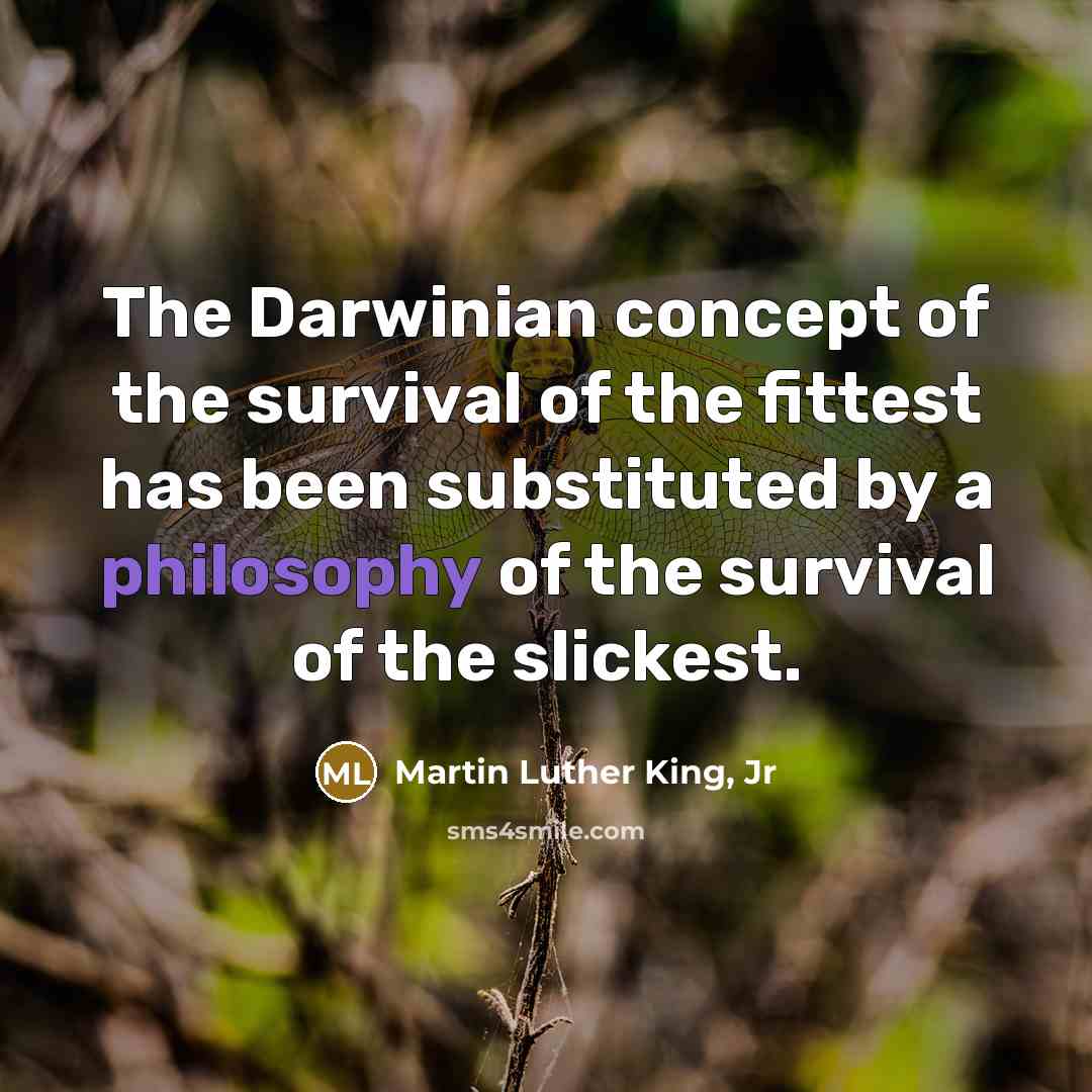“The Darwinian concept of the survival of the fittest has…” quote by Martin Luther King, Jr